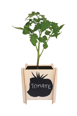 4 cache-pots en bois - 10 x 10 x 12 cm