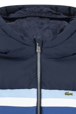 Doudoune à capuche - Bleu marine