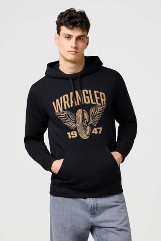 Sweater met Capuchon Americana - Beige en blauw