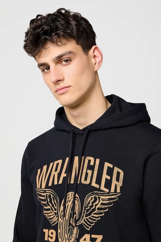 Sweater met Capuchon Americana - Beige en blauw