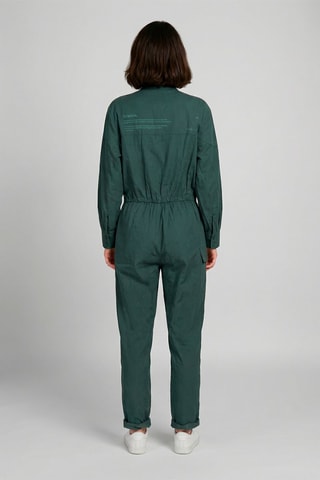 Mono Raphaelle - Caqui