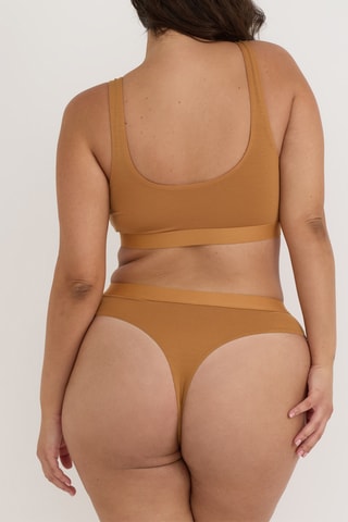 Soutien desportivo - Camel