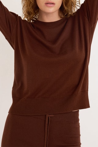 Camisola em algodão biológico - Castanho