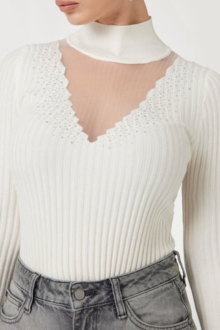 Jersey Alice - Crudo