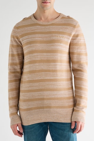 Jersey Napie - Crudo