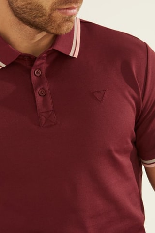 Polo Bordô