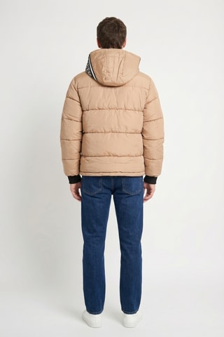 Doudoune à capuche Daniel - Taupe