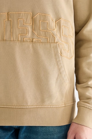 Sudadera con capucha Dilan - Topo