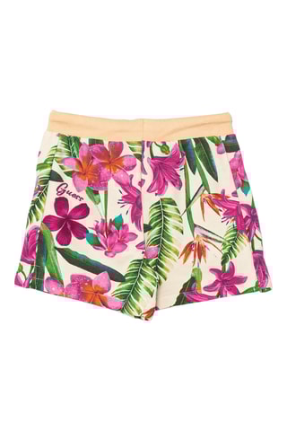 Short Botanical - Roze