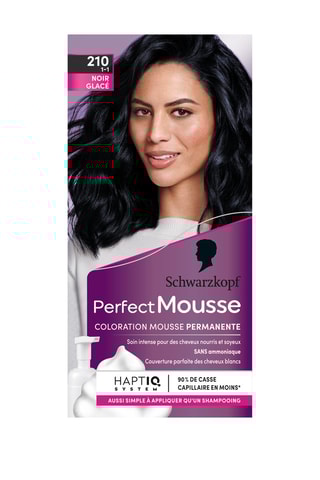 Coloration Perfect Mousse Schwarzkopf - Noir glacé 210