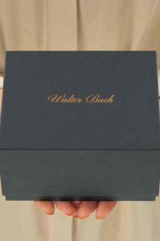 Reloj automático de acero - Dorado y blanco - Walter Bach