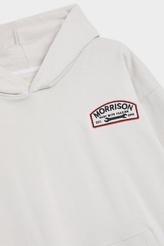 Sweat à capuche Tool - Gris clair