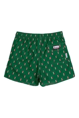 Short de bain LH - Vert