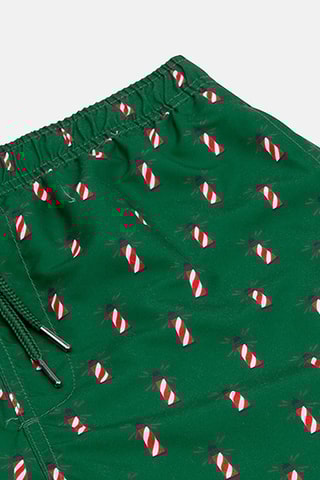 Short de bain LH - Vert