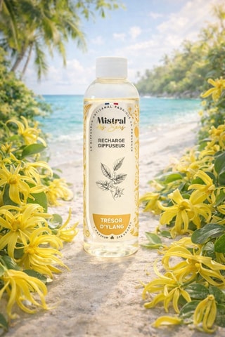 Recharge "Trésor d'Ylang" pour diffuseur - 200 ml