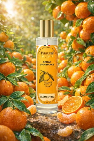 Parfum d'intérieur "Clémentine" - 100 ml