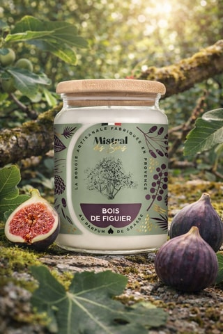 Bougie parfumée "Bois de figuier"