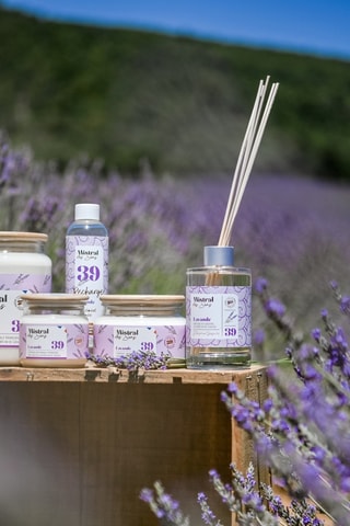 Bougie parfumée "Lavande"