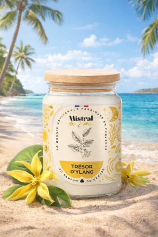 Bougie parfumée "Trésor d'Ylang"
