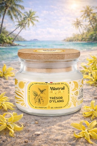 Bougie parfumée "Trésor d'Ylang"