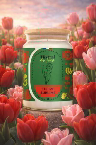 Bougier parfumée "Tulipe sublime"