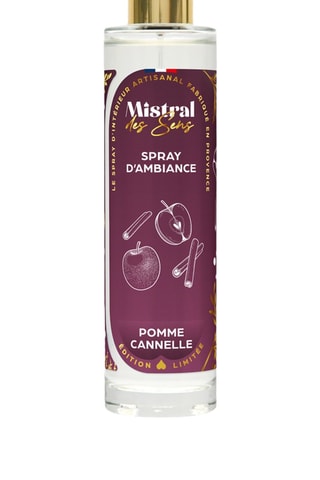Parfum d'intérieur "Pomme canelle" - 100 ml