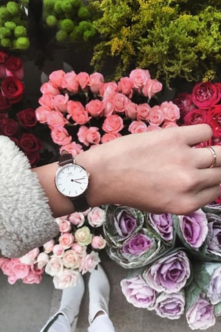 Montre à quartz en cuir Petite Bristol - Marron et argenté