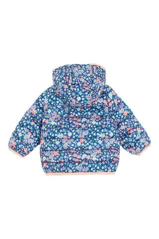 Doudoune à capuche - Bleu marine