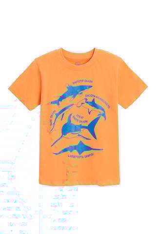 T-shirt - Orange