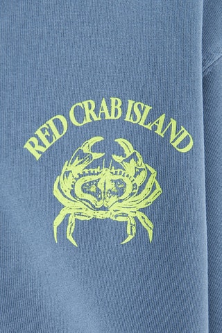 Sweat à capuche - Bleu-gris