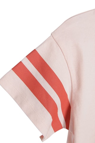 T-shirt Université Havard Rose