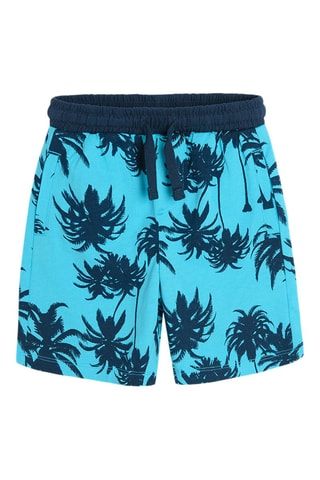 2 shorts - Gris foncé et bleu clair