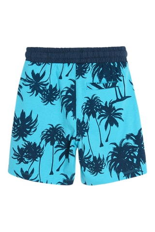 2 shorts - Gris foncé et bleu clair