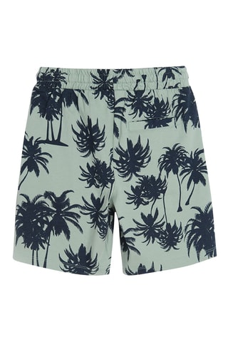 2 bermudas Vert clair et bleu