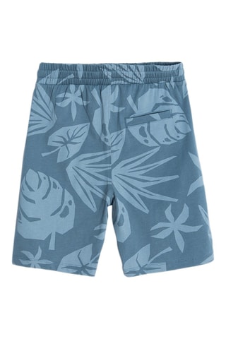 2 bermudas Turquoise et gris