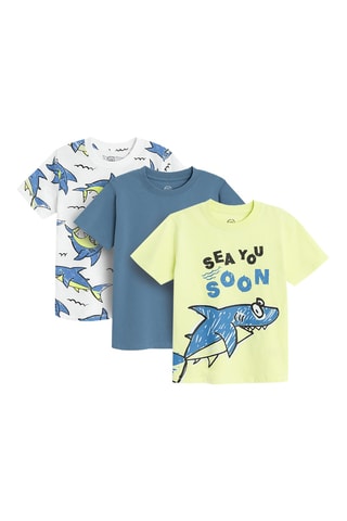 3 t-shirts - Blanc et gris