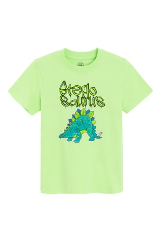 2 t-shirts - Vert clair