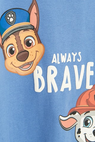 Sweat Chase et Marcus Pat’ Patrouille - Ciel