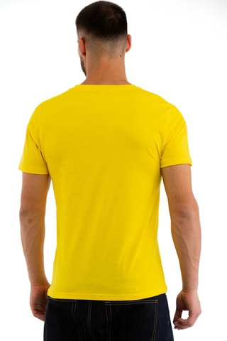 Camiseta - Blanco, amarillo y marrón