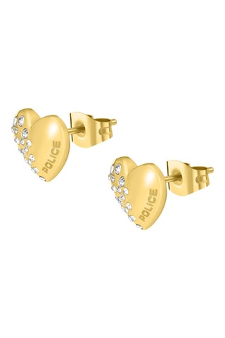 Oorbellen - Doublé Geelgoud