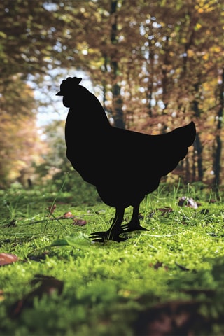 Silhouette de jardin - 64 x 42 cm