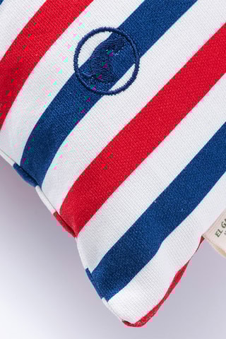 2 almofadas - Azul - 40 x 40 cm