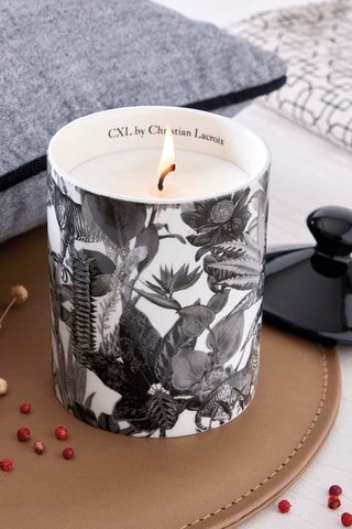 Candela profumata in porcellana Zanzibar Noir - Pepe rosa