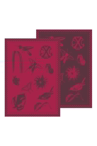 2 strofinacci Primavera - Grigio scuro e bordeaux