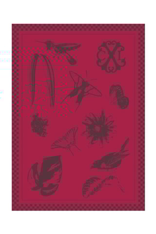 2 strofinacci Primavera - Grigio scuro e bordeaux