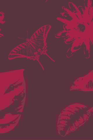 2 strofinacci Primavera - Grigio scuro e bordeaux