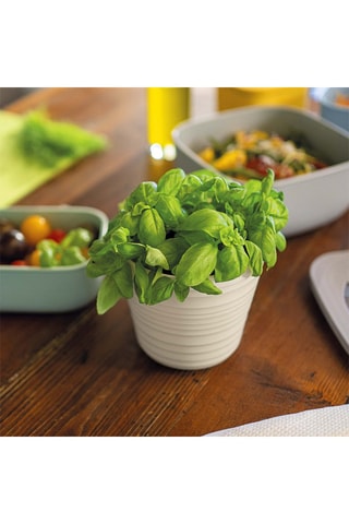 Vase Tierra - 22,4 x 38,4 x 18 cm - Blanc