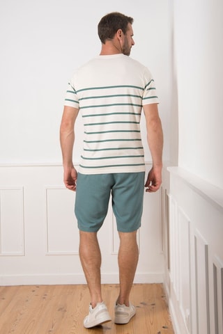 Camiseta - Blanco y verde