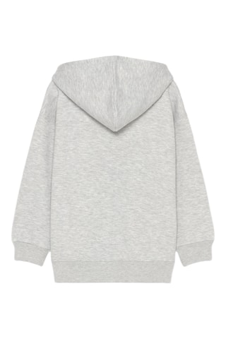 Sweat à capuche - Gris