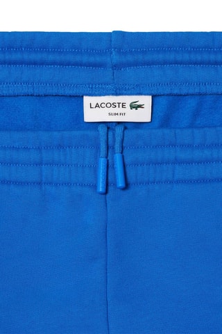 Pantalon de survêtement en coton biologique - Bleu roi